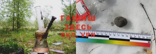 хмурый Тайга