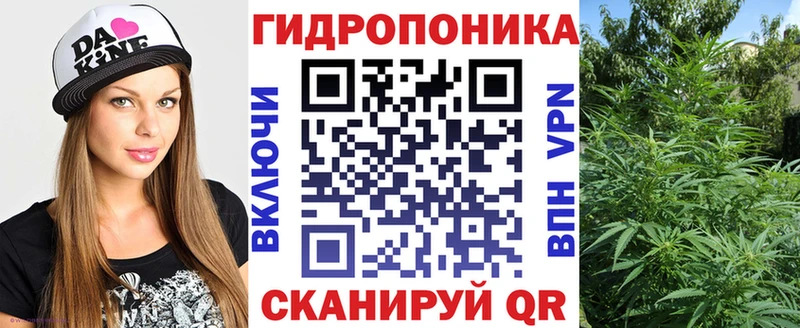 Канабис планчик  дарнет шоп  Зеленоградск 